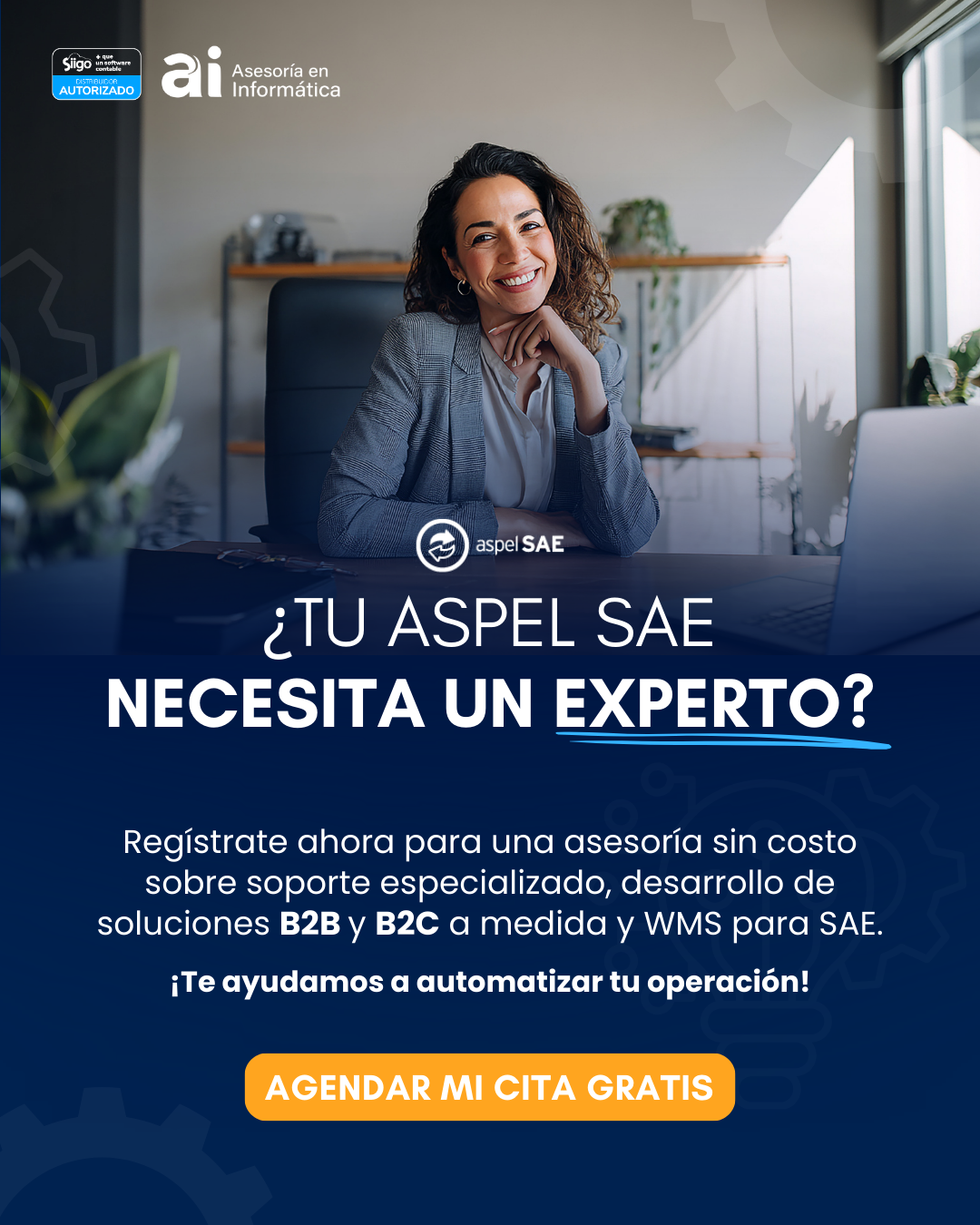 soporte avanzado y desarrollos b2b y b2c para sae